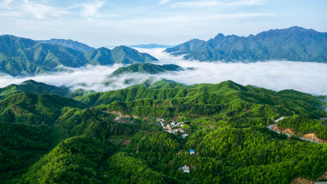 dji_fly_20230425_065508_525_1682520329509_photo.jpg