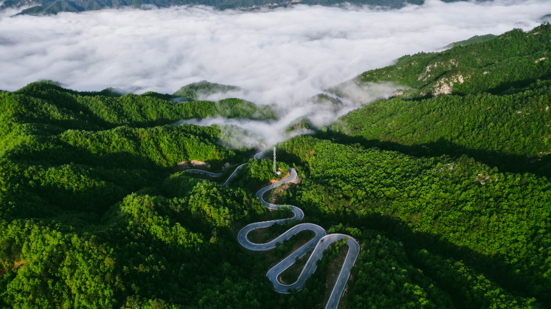 dji_fly_20230425_071422_554_1682518552834_photo.jpg