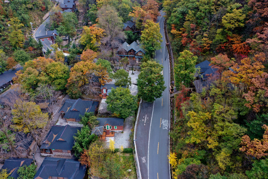DJI_0887_副本.jpg