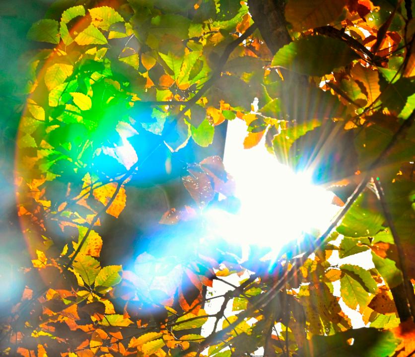 2c9270711f6a08a9961d3ec22a7d8a1.jpg