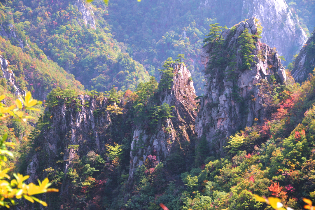 骆驼峰.jpg