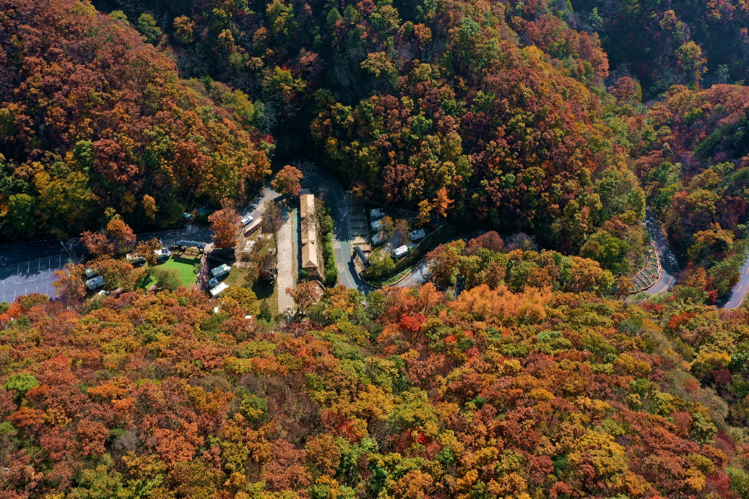 DJI_0040_副本 - 副本.jpg