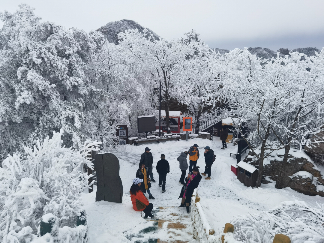 微信图片_20230216092534.jpg