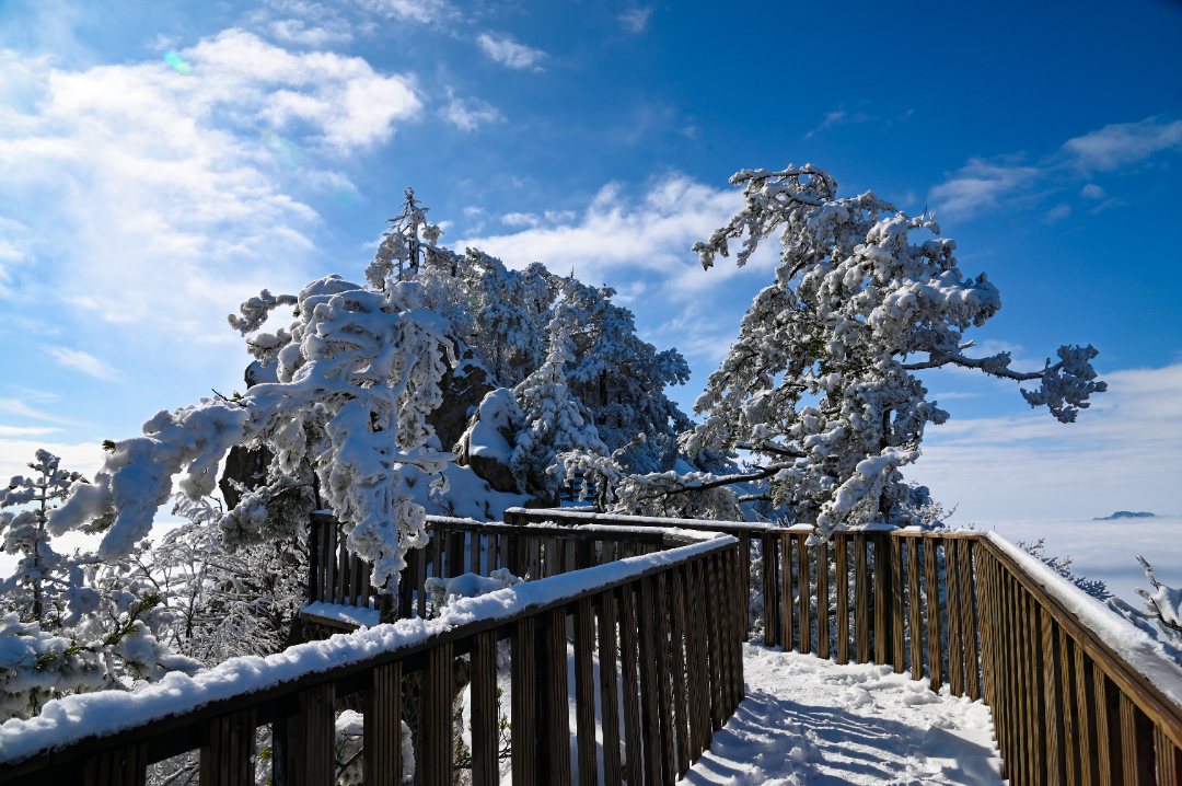 DSC_2789.JPG