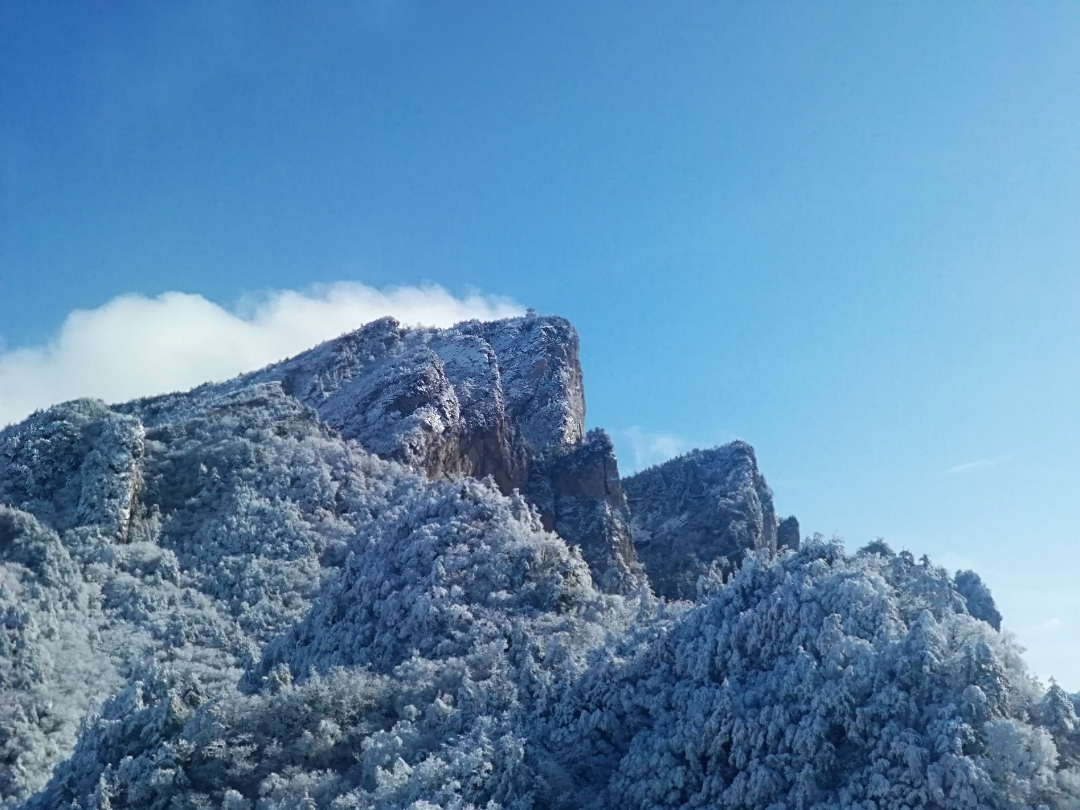 IMG_20201124_110557.jpg