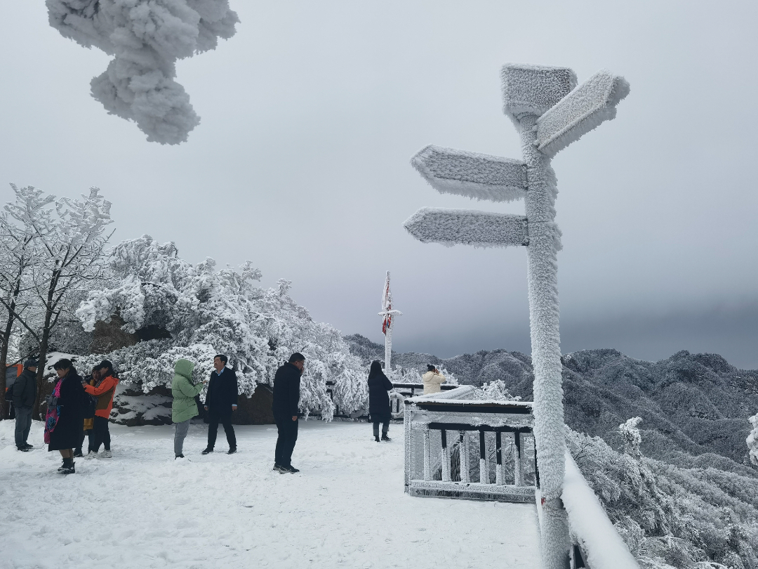 微信图片_20230216092542.jpg