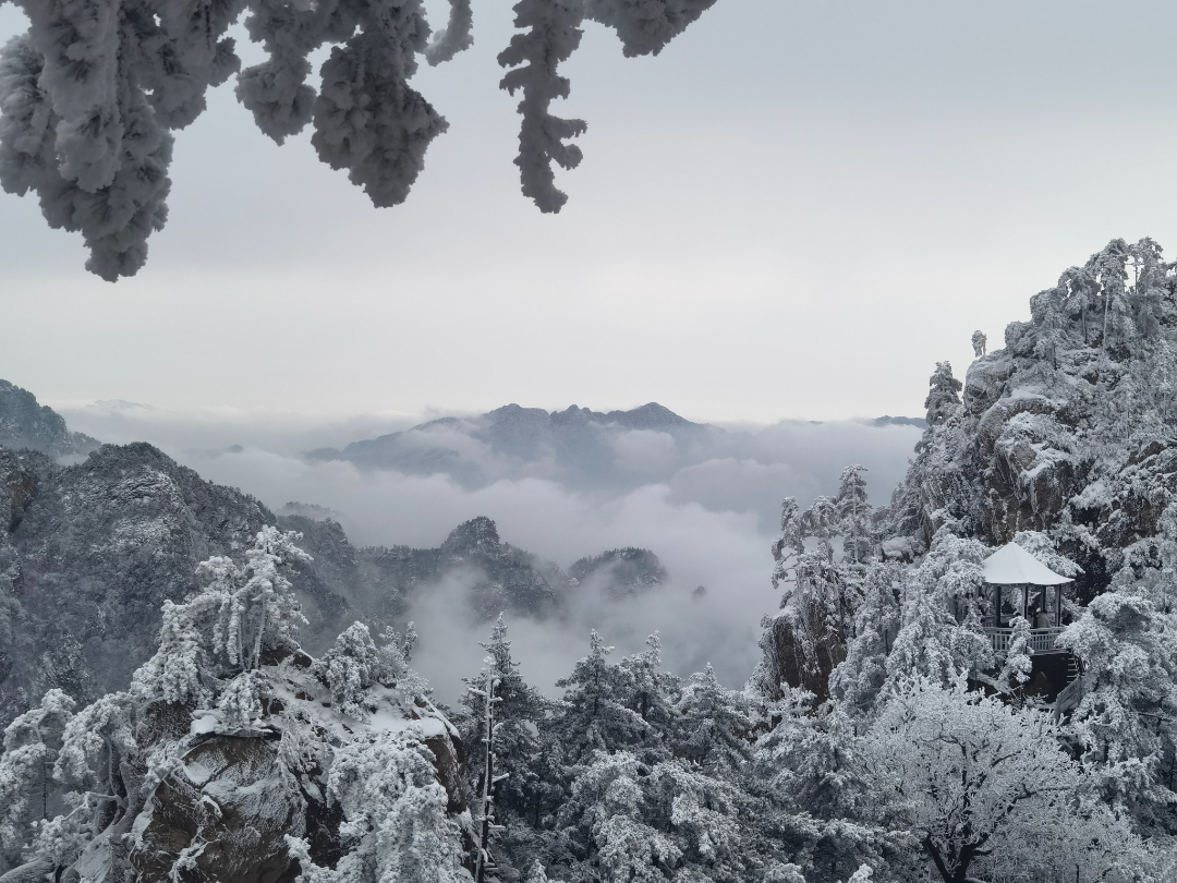 微信图片_20230216092623.jpg