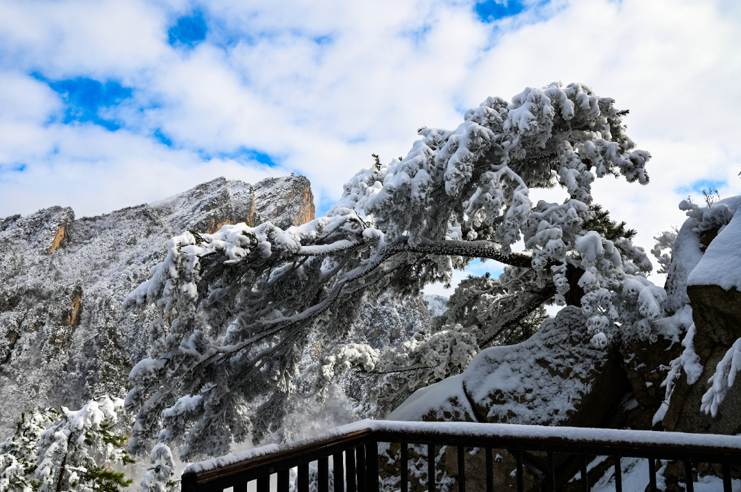 DSC_2884.JPG