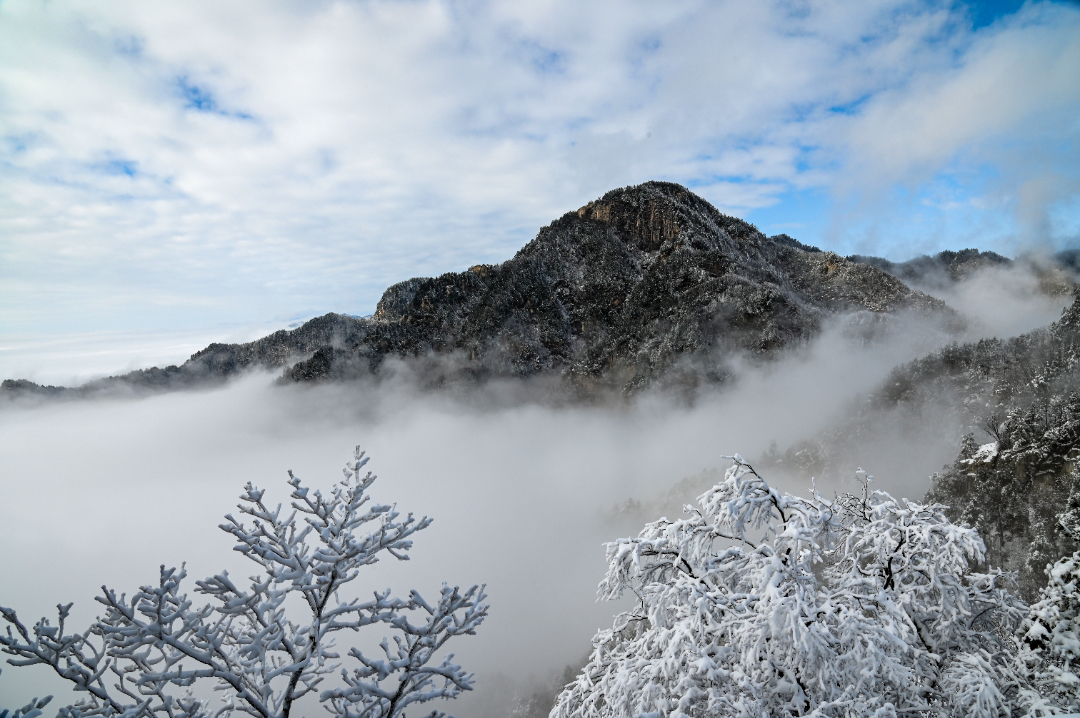 DSC_2875.JPG