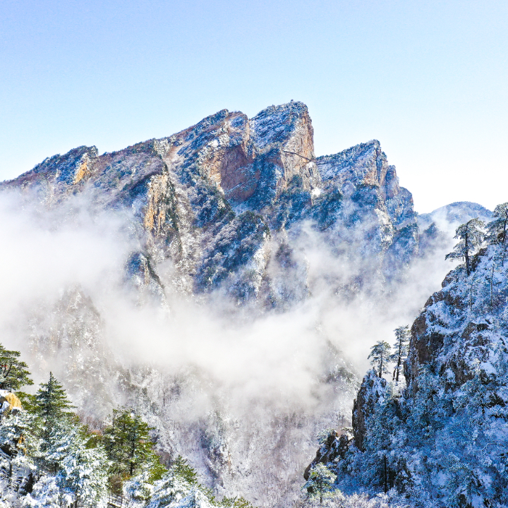 中原雪乡 (1 - 2).jpg