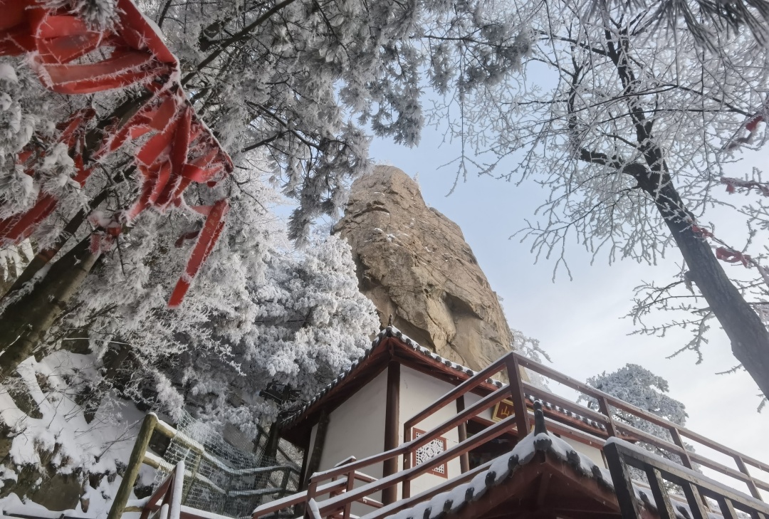 微信图片_20230216092636.jpg