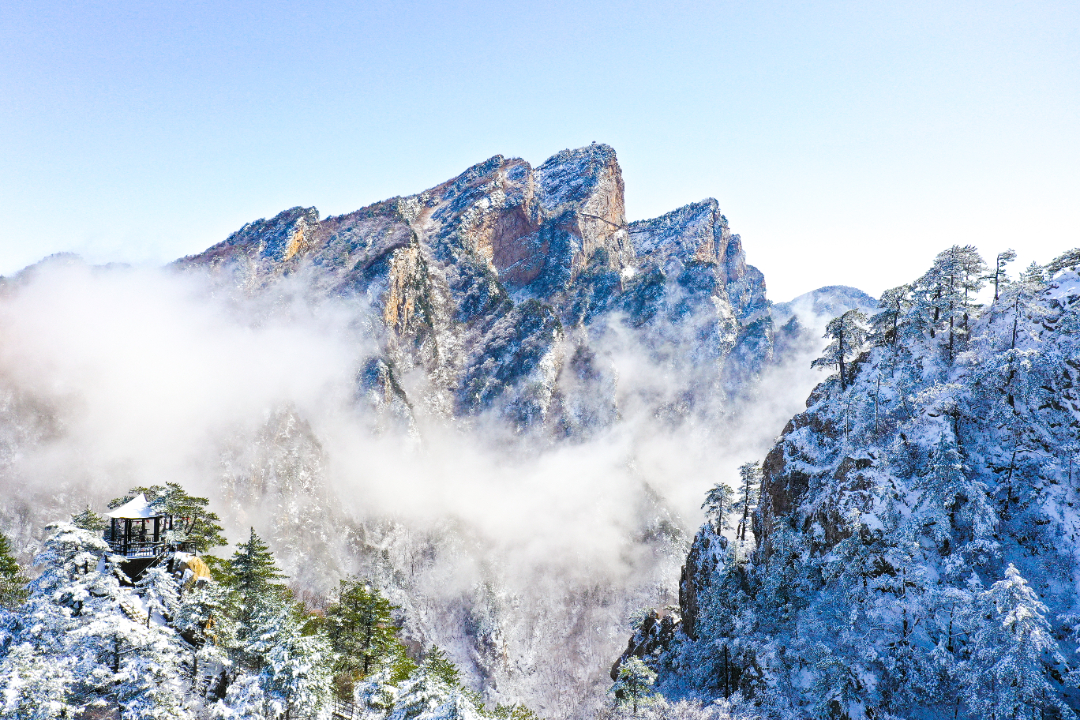 中原雪乡 (1 - 1).jpg