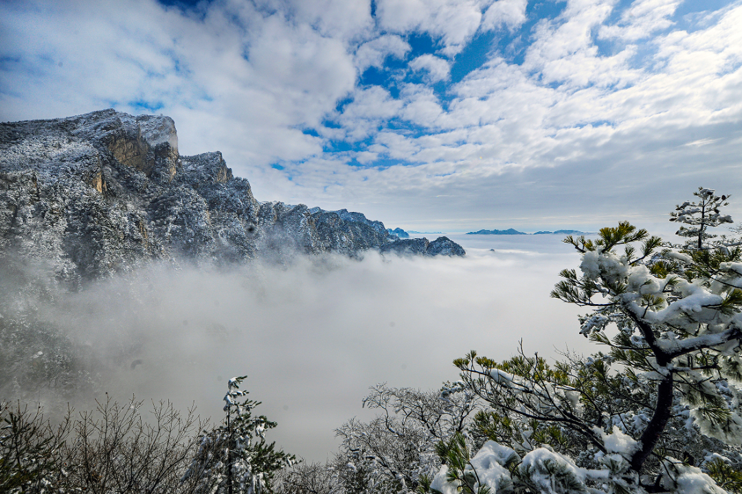 南阳市-西峡县-老界岭景区 (17).jpg