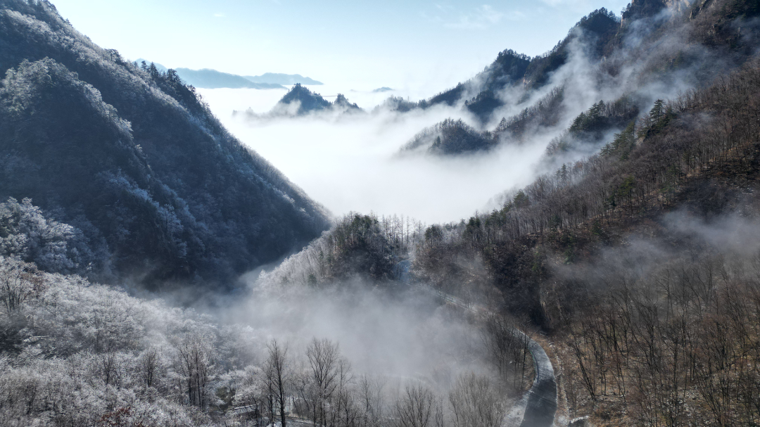 DJI_0312.JPG