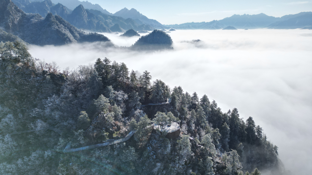 DJI_0247.JPG