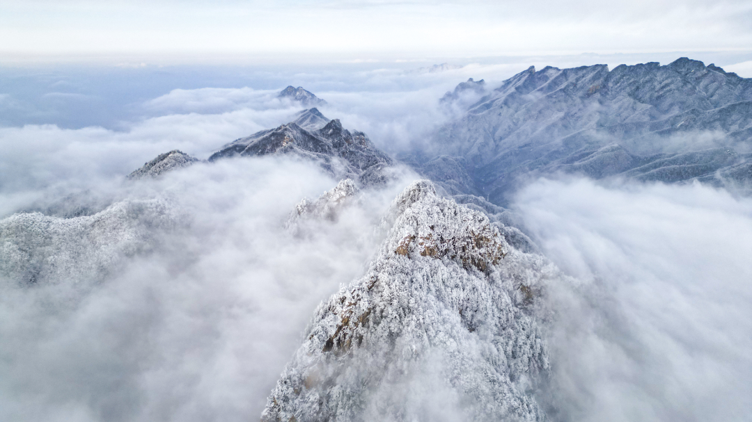 中原雪乡 (23 - 3).jpg