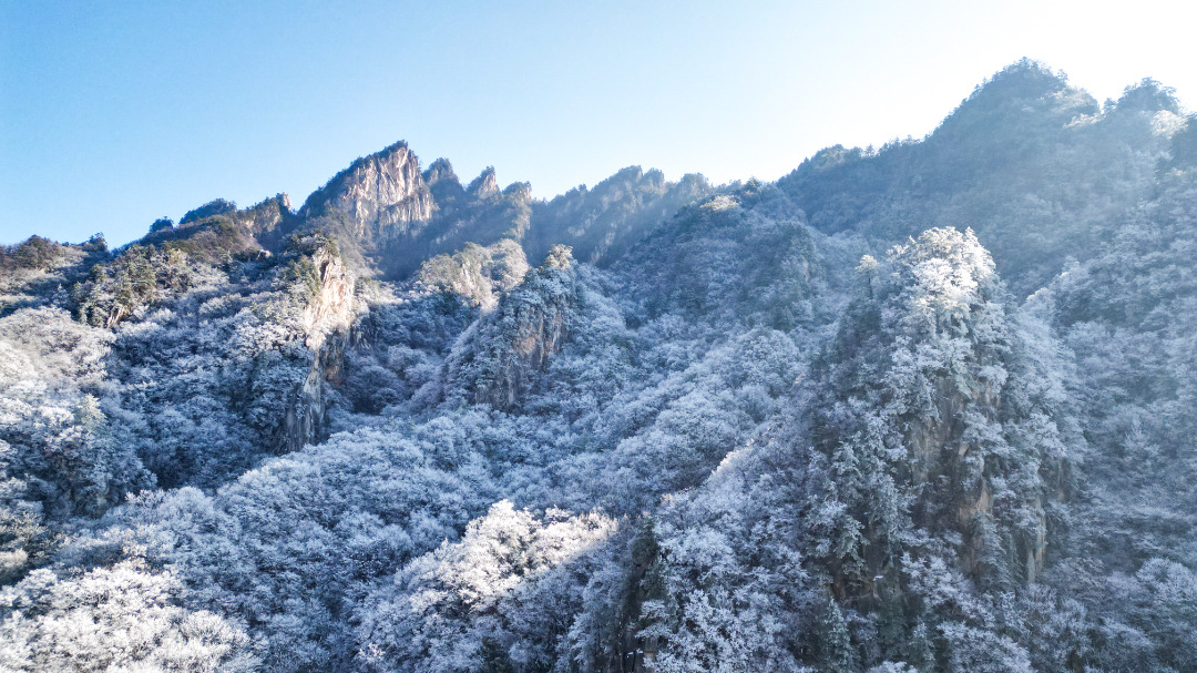 20240113-DJI_0260.jpg