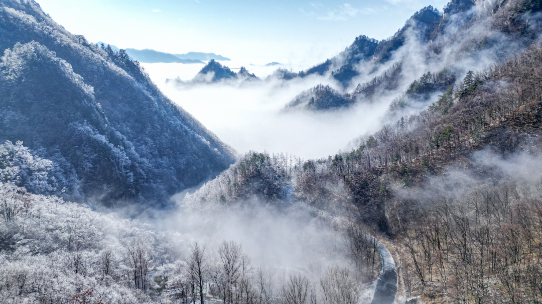 20240113-DJI_0312.jpg