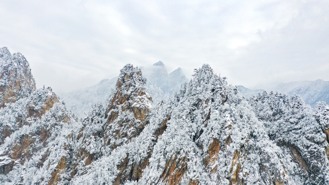 20240224-DJI_0227.jpg