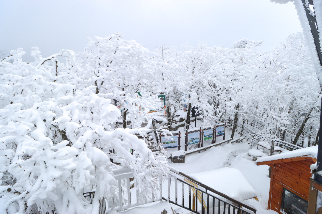 中原雪乡-7.jpg