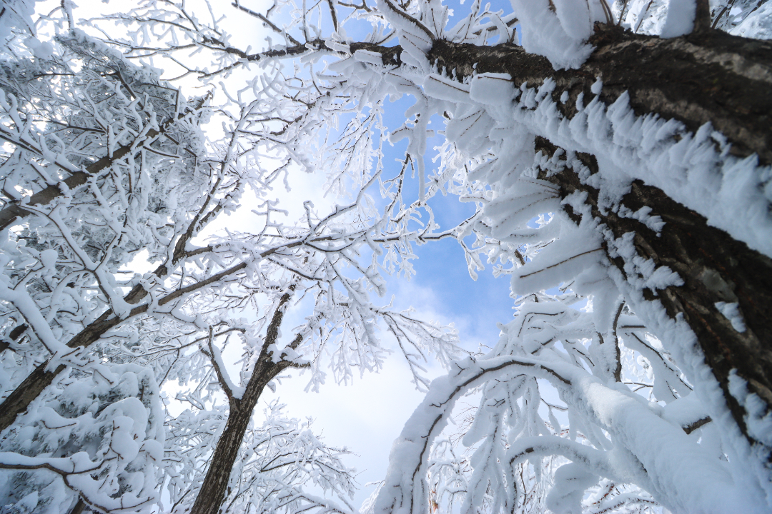 中原雪乡-9.jpg