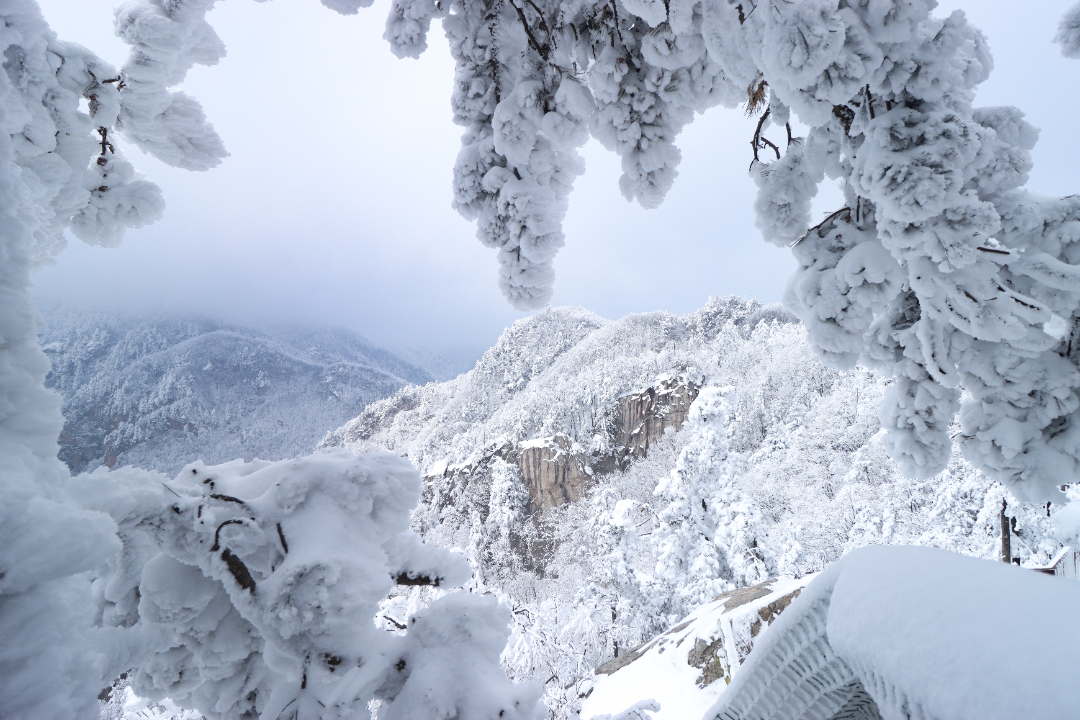 中原雪乡-15.jpg