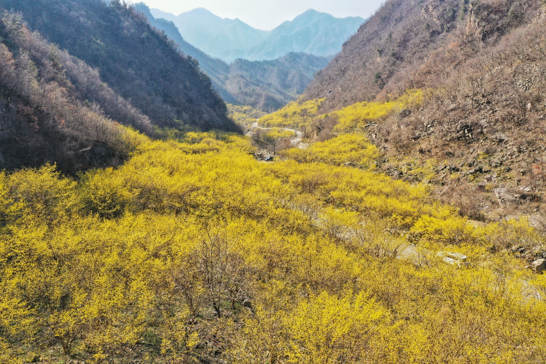 微信图片_20230301160238.jpg