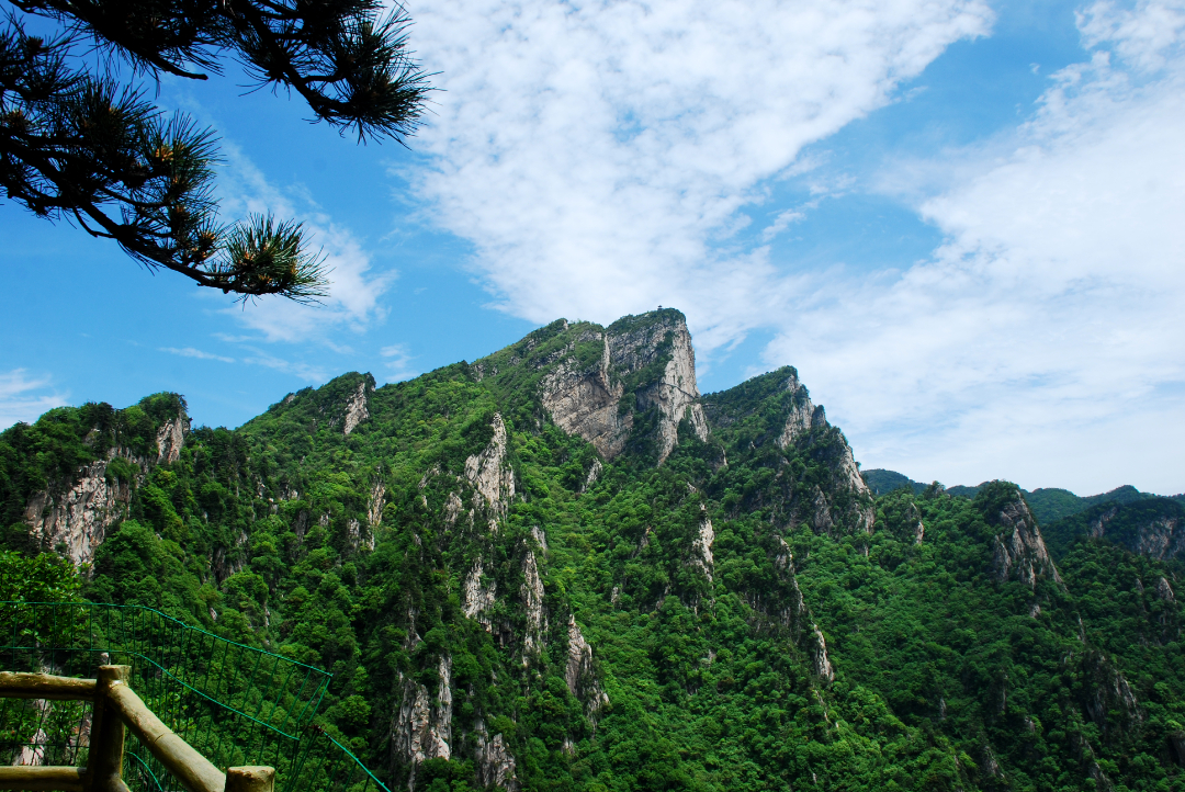 DSC_9809.JPG