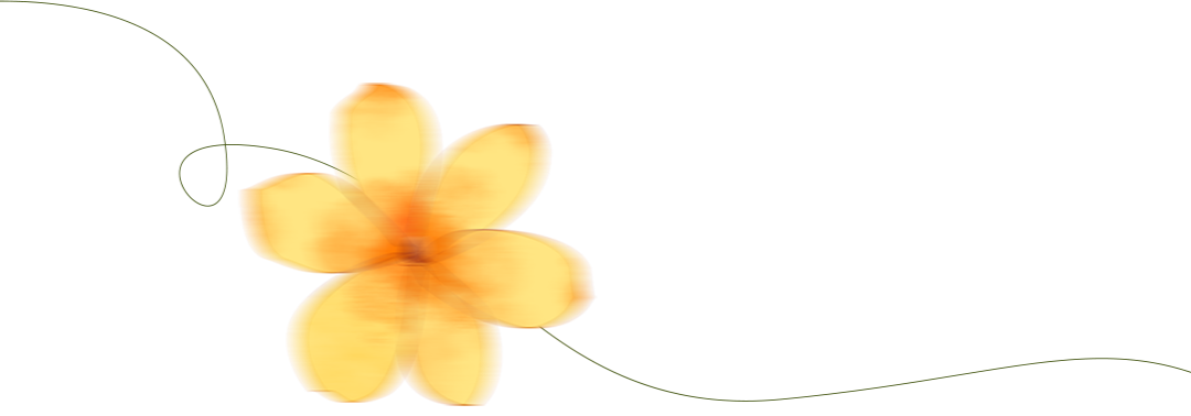 分割线1.png