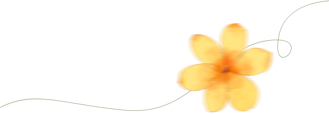 分割线.png