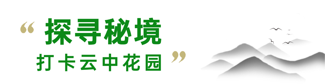 透明2.png