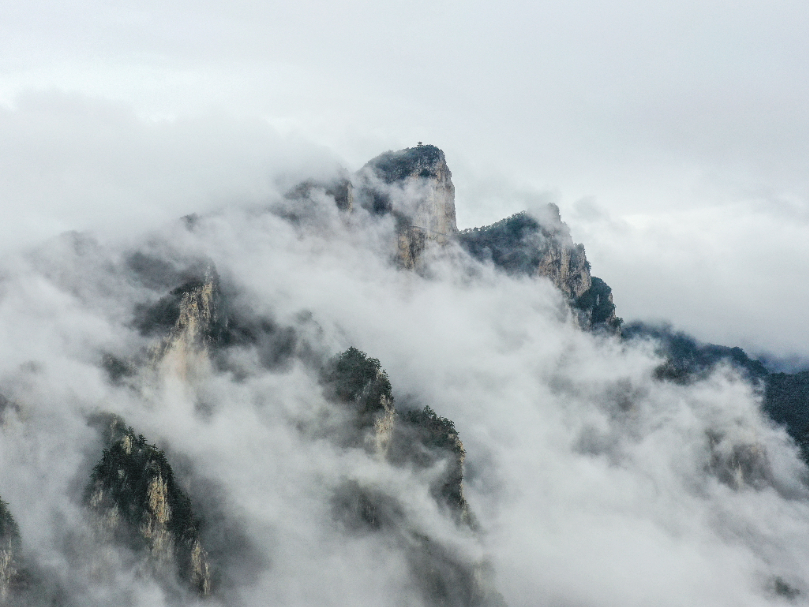 20240324-DJI_0360.jpg