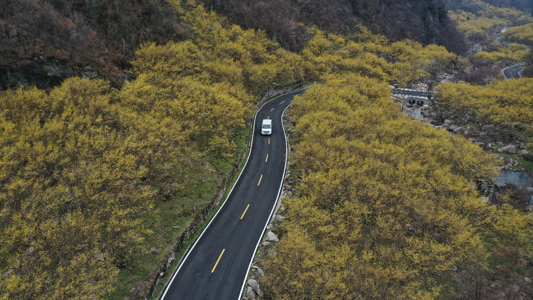 DJI_0371.JPG