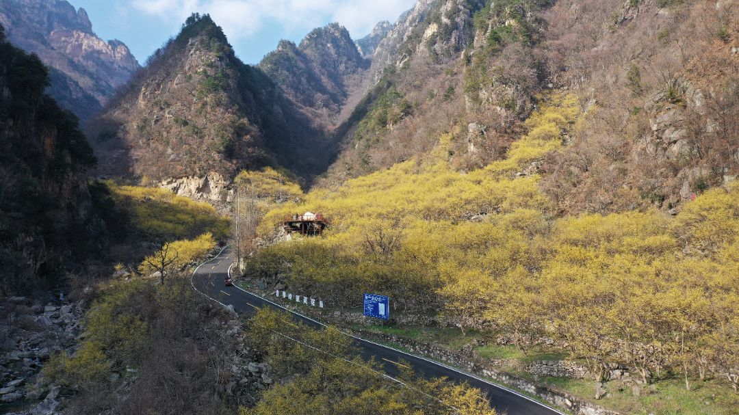DJI_0384.JPG