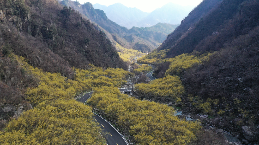 DJI_0375.JPG
