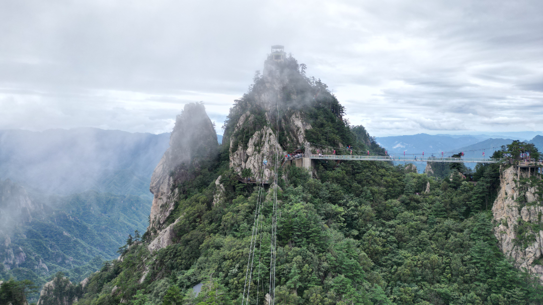 DJI_0732.JPG