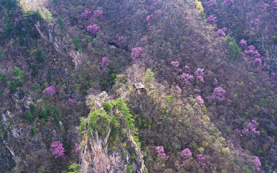 20240409-DJI_0435.jpg