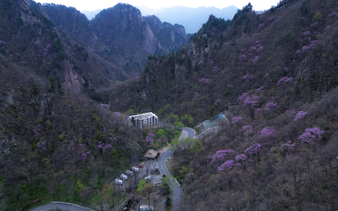 微信图片_20240416105741.jpg