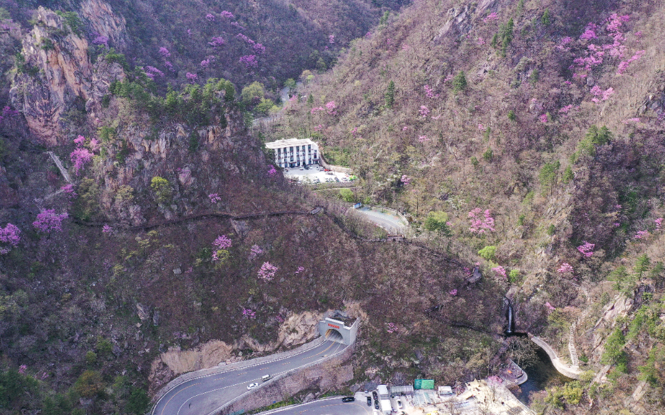 20240409-DJI_0441.jpg