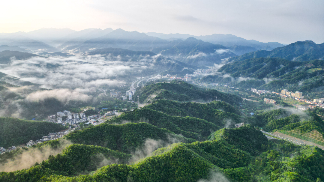 20240406-太平镇全景.jpg