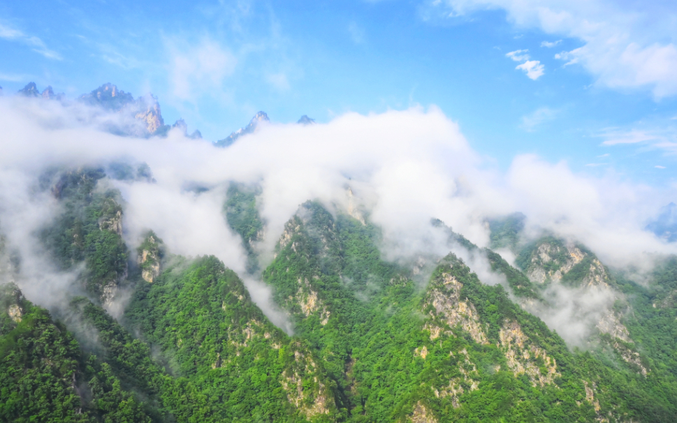 _DSC3335-01.jpeg