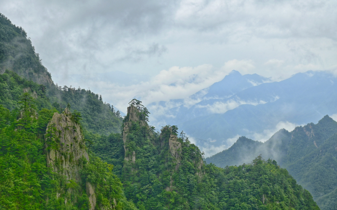 _DSC5179-01.jpeg