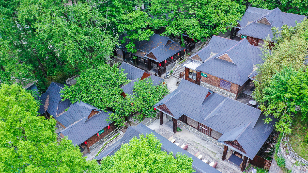20240510-DJI_0772.jpg