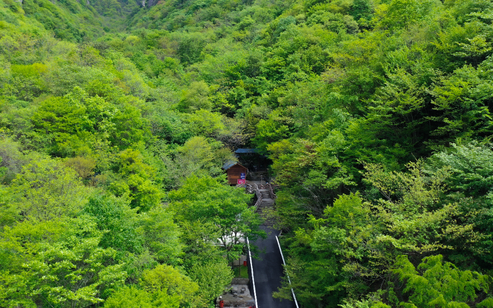 DJI_0719.jpg