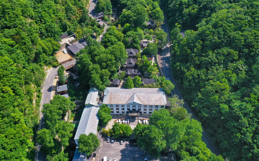 DJI_0715-01.jpeg