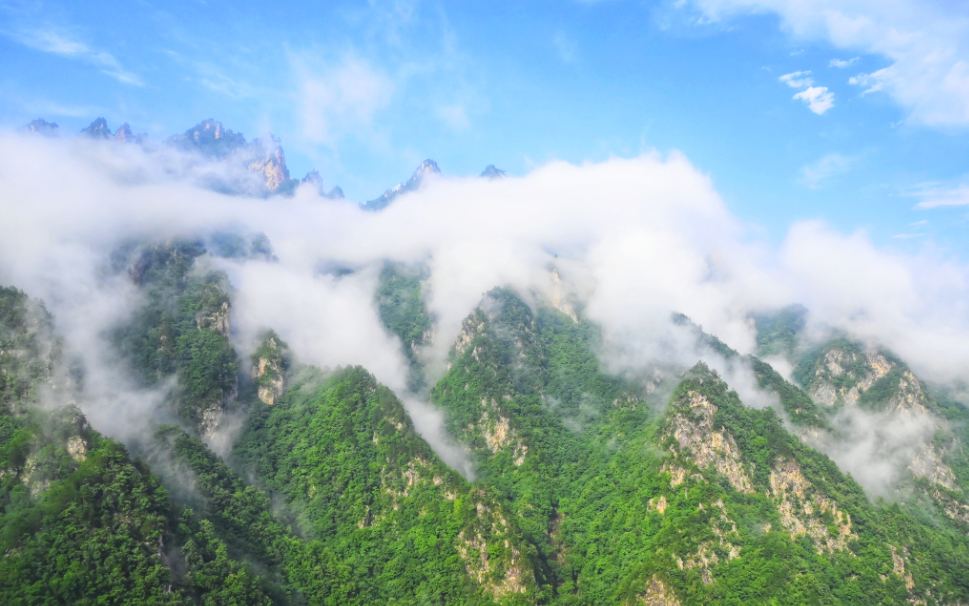 _DSC3335-01.jpeg