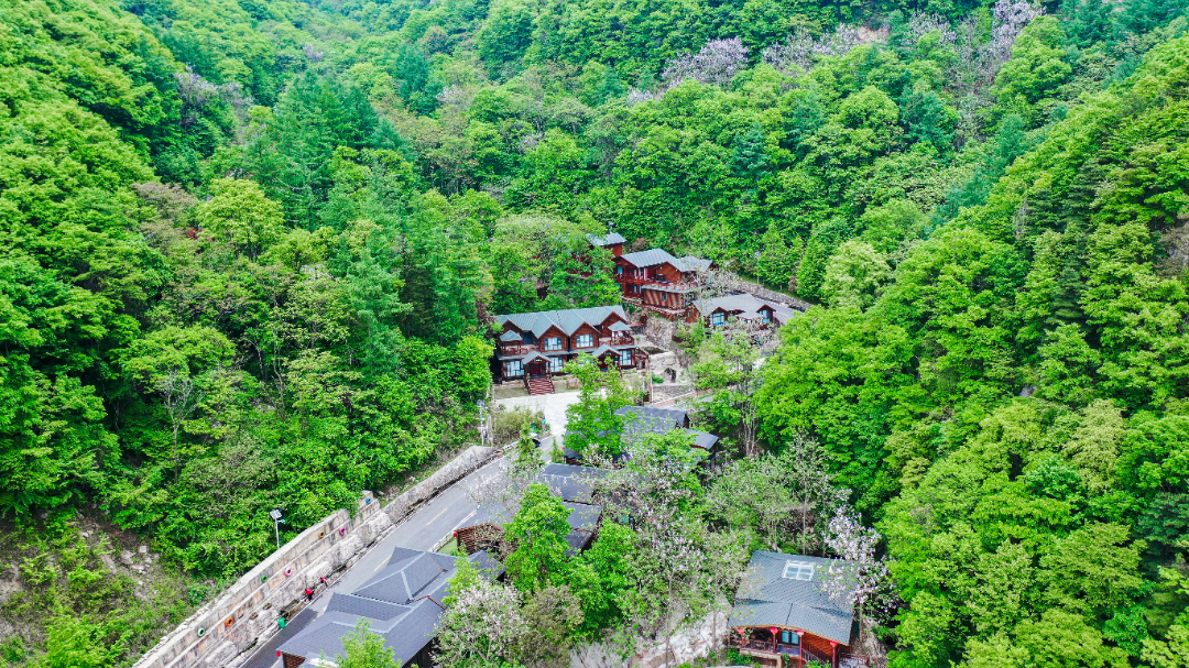 20240510-DJI_0775.jpg
