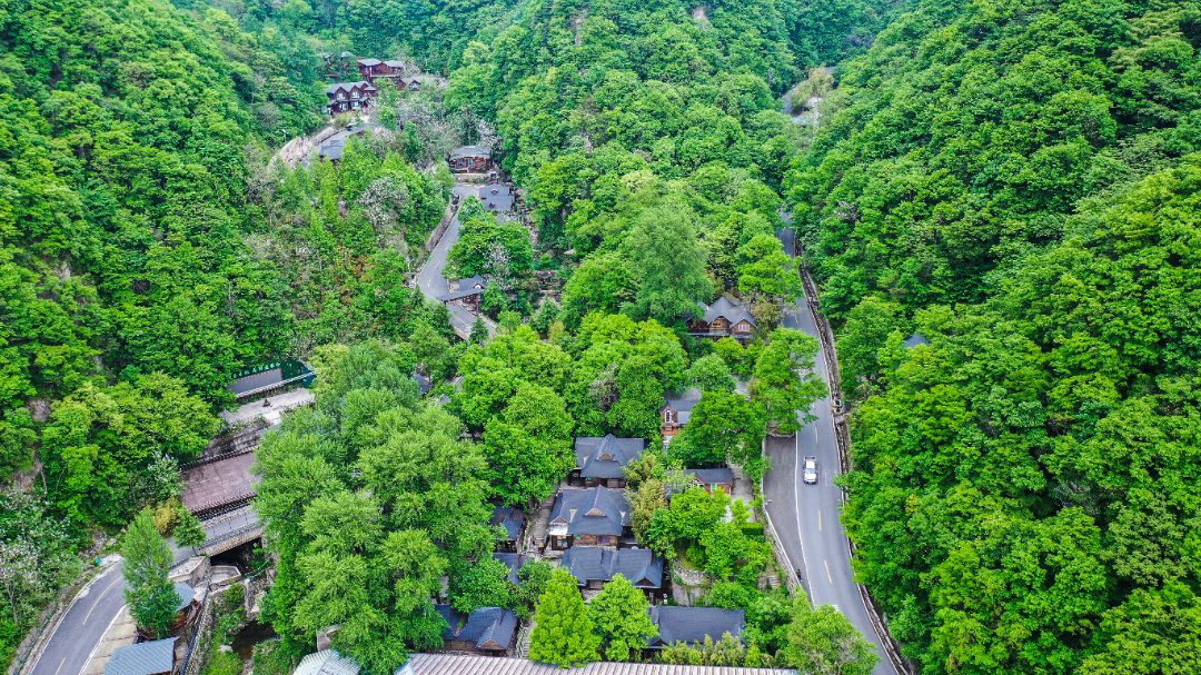 20240510-DJI_0779.jpg
