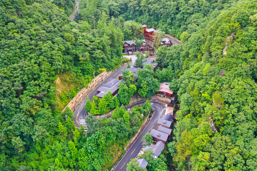 DJI_0009.JPG