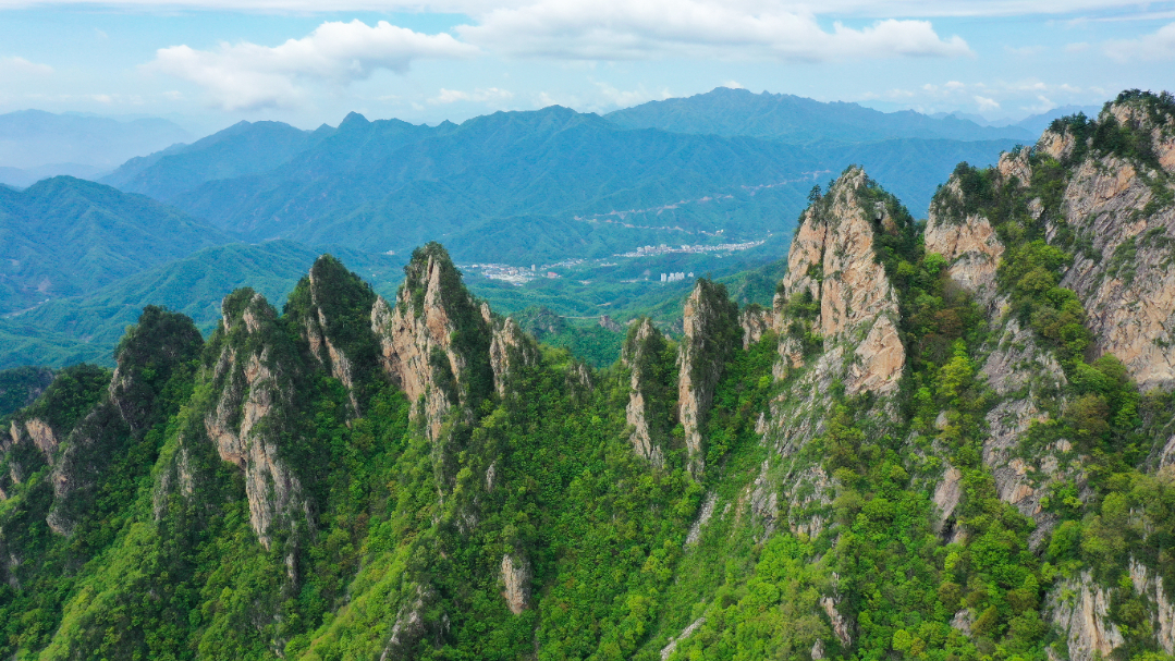 DJI_0723.jpg